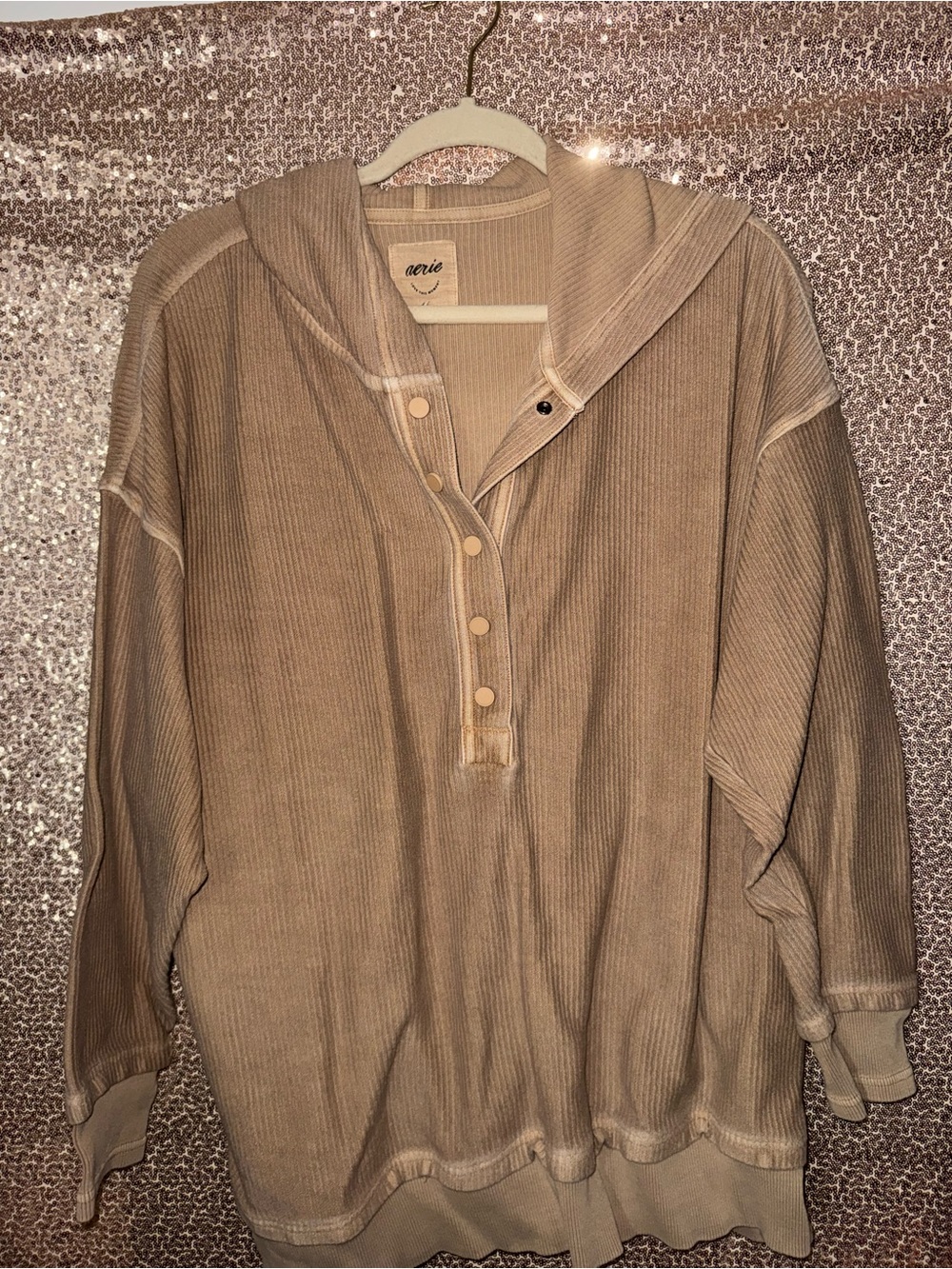 Aerie Button Pullover Sweater with Hood